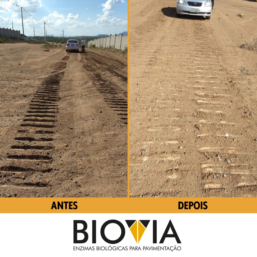 Serviço realizado Biovia col 1 - 4