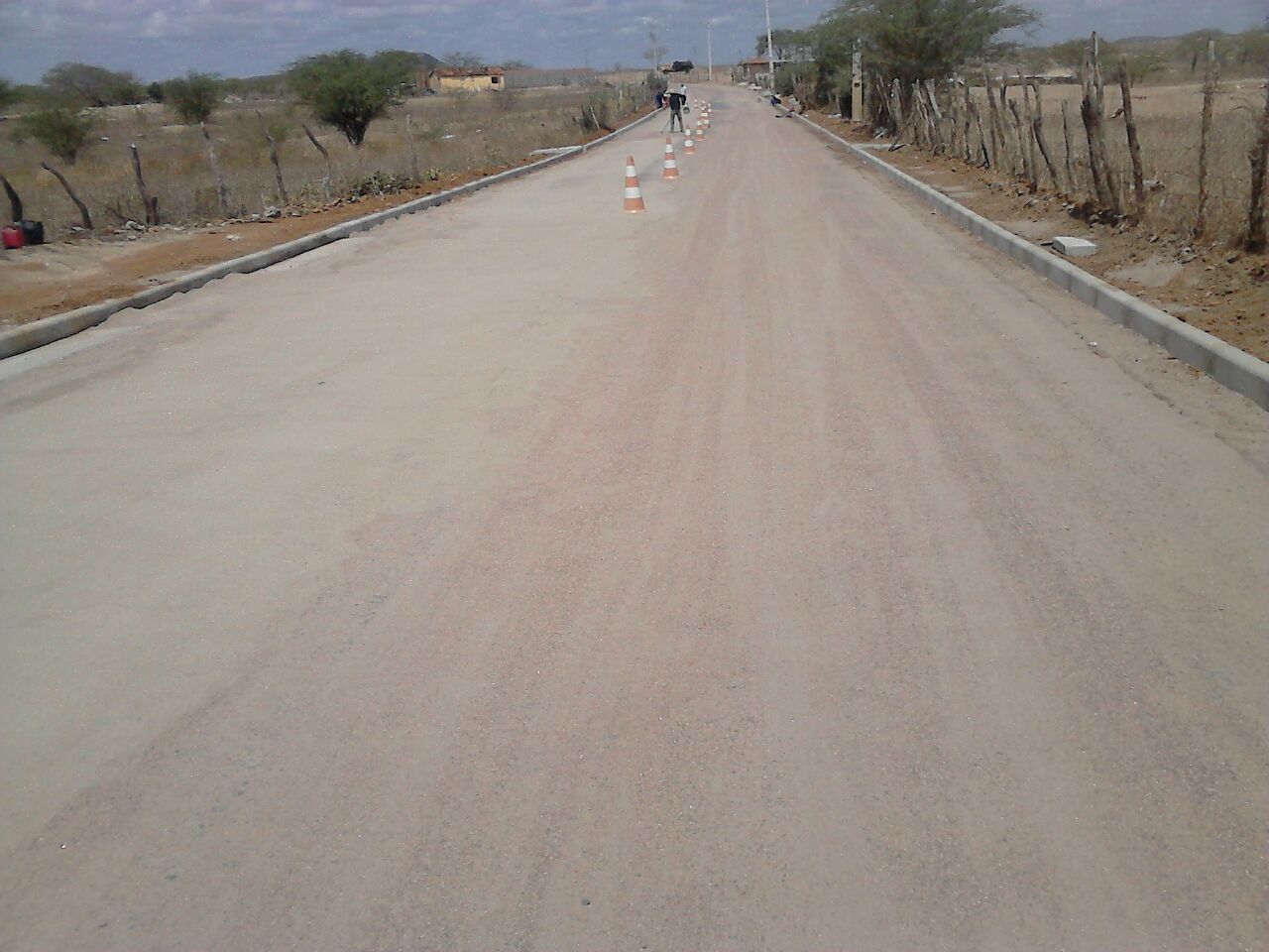 Serviço realizado Biovia col 4 - 5