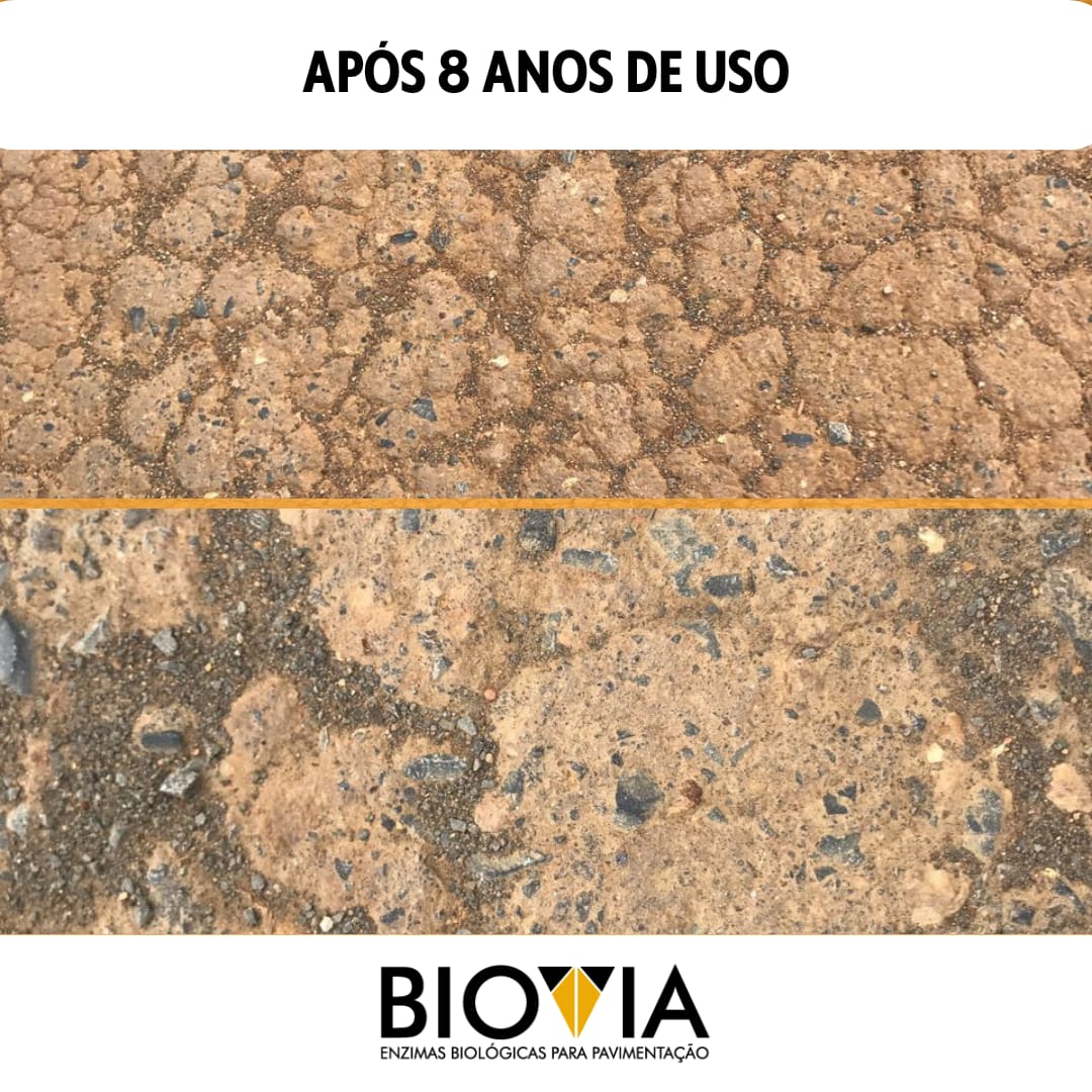 Serviço realizado Biovia col 4 - 9